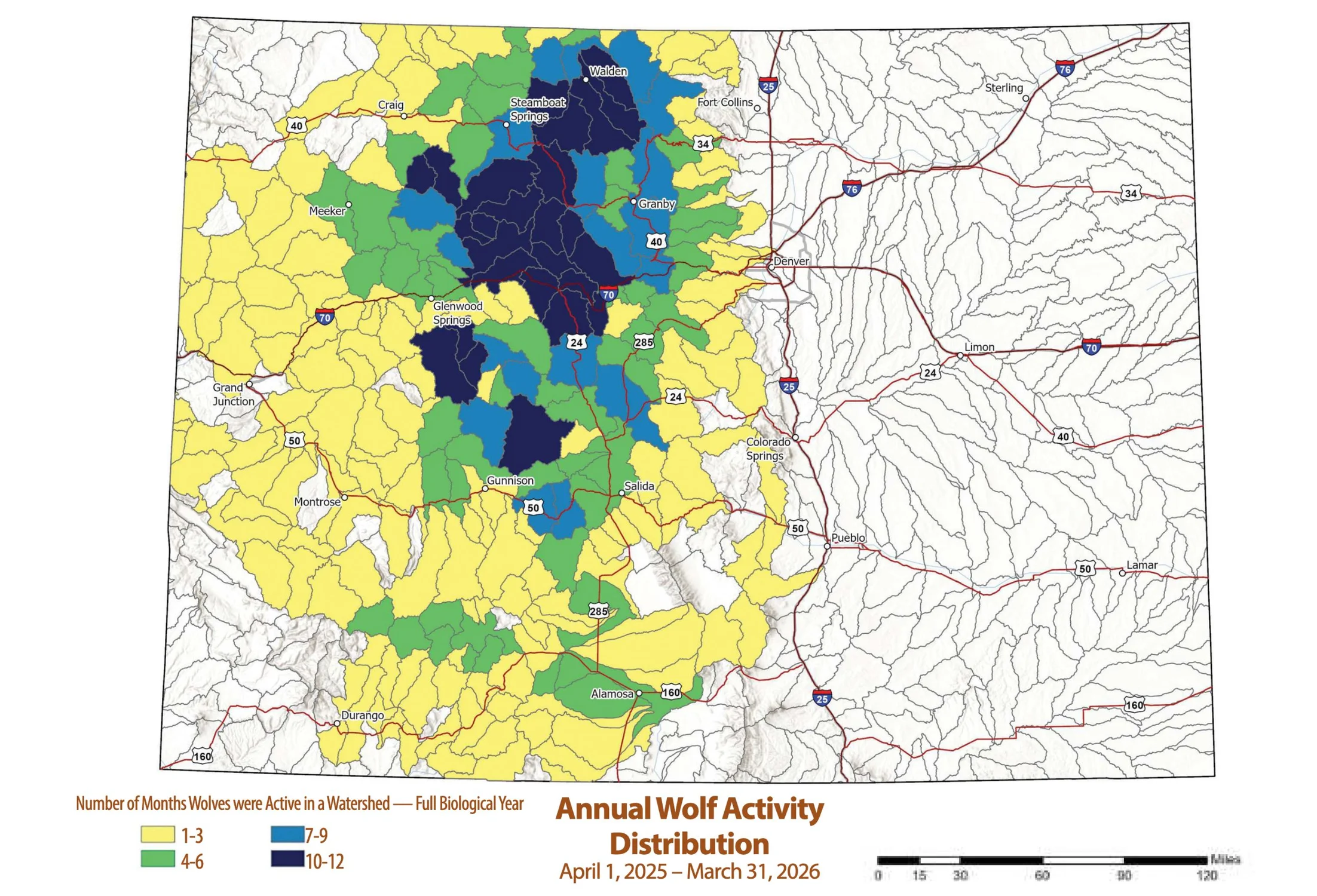 Wolf distribution shown over the past year across the state. Credit: Colorado Parks and Wildlife