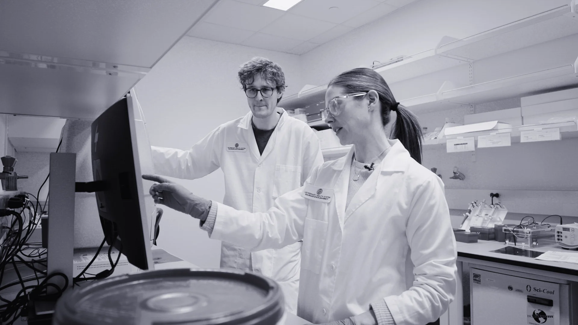 Karen Fox analyzes DNA synthesized from a bighorn sheep tissue sample. Her work seeks to better understand the genetic patterns of disease causing bacteria. Photo: Cormac McCrimmon, Rocky Mountain PBS