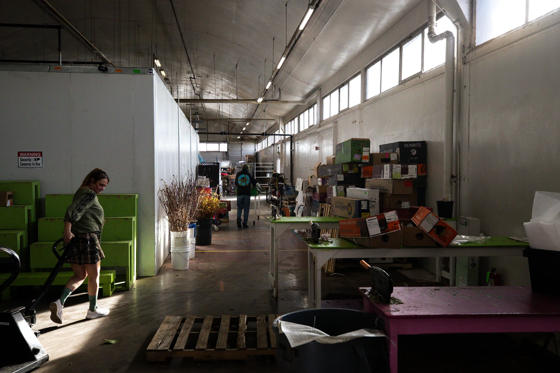 Brandi Jo Kaiser preps orders at M&M Cut Flora. Photo: Cormac McCrimmon, Rocky Mountain PBS