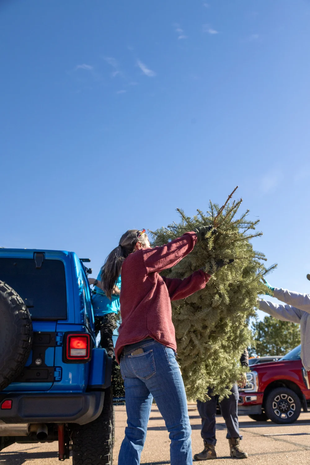 The last Christmas tree recycling drop-off at the Cheyenne Mountain Visitor Center is January 10. Photo: Chelsea Casabona, Rocky Mountain PBS