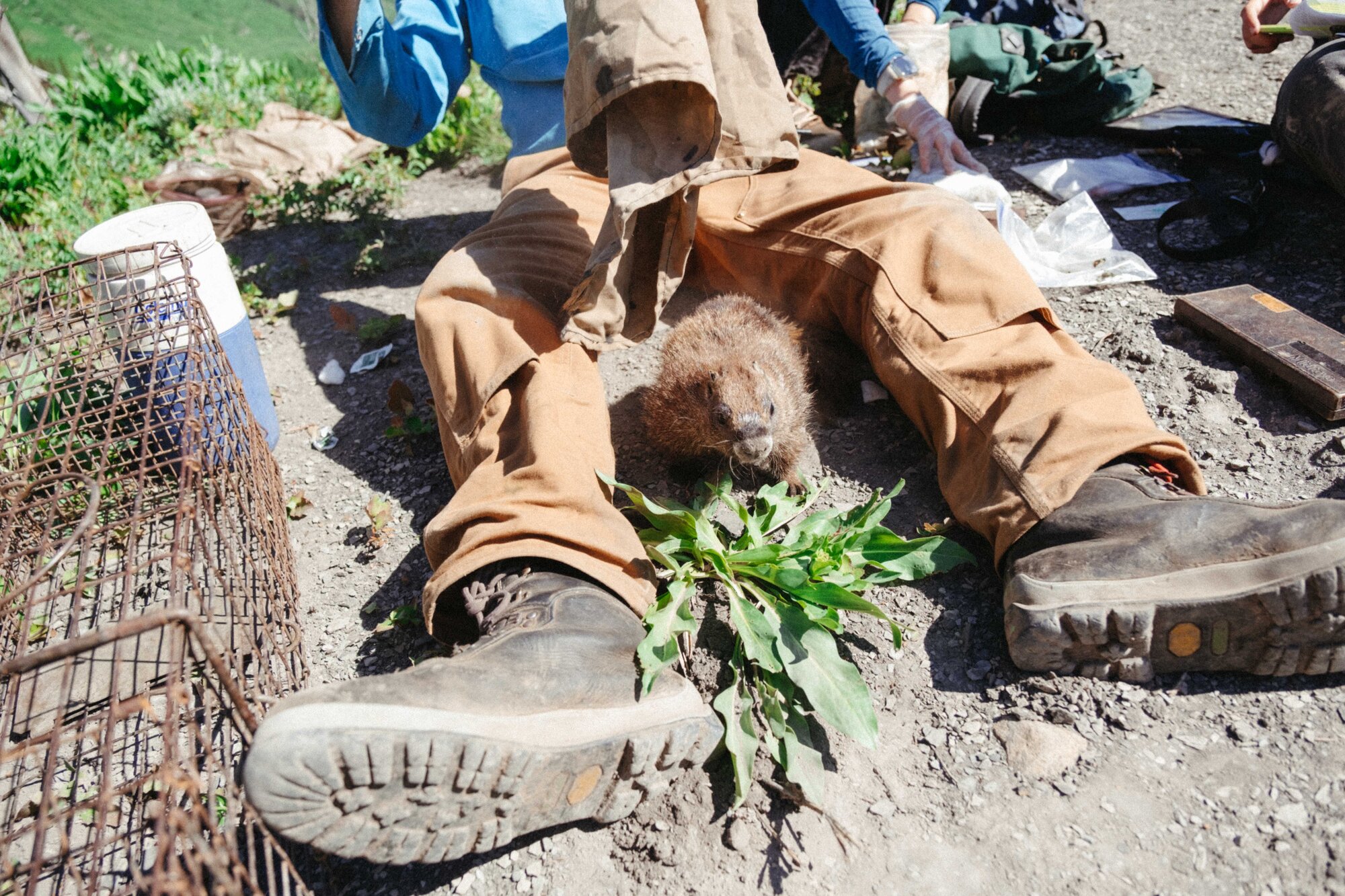 Sturdy, flirty and thriving: Colorado's Fat Marmot Week draws major donations