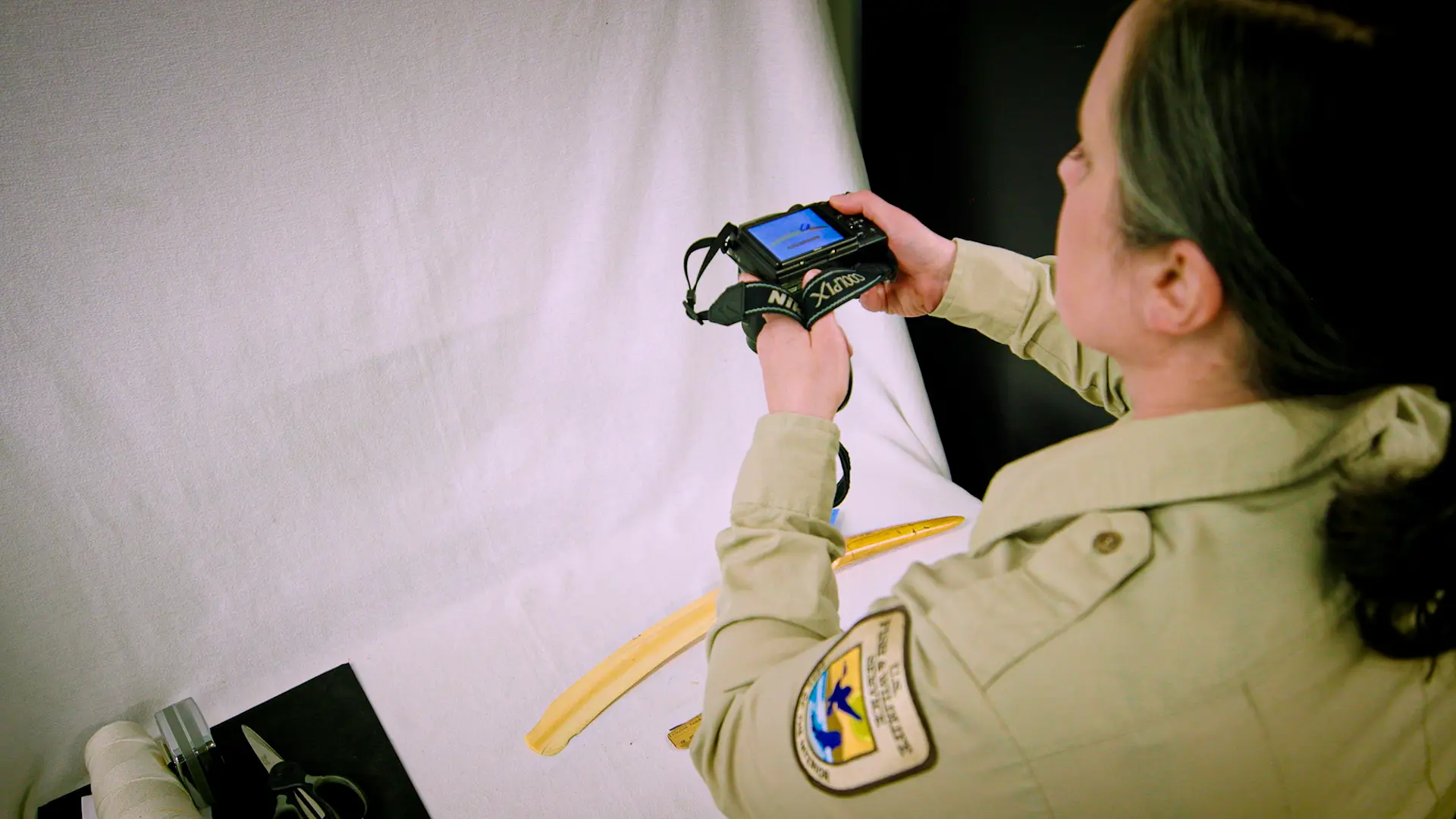 Dahlberg photographs an ivory carving donated to the collection. Employees photograph and enter items in a computer database when they arrive. Photo: Cormac McCrimmon, Rocky Mountain PBS