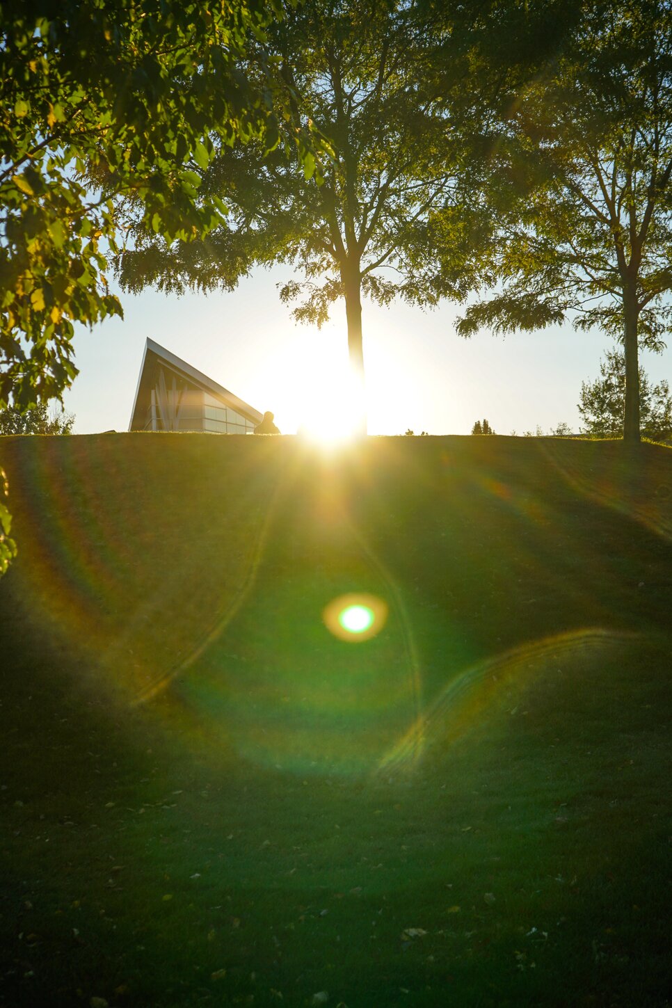 sun fades over a hill, with fall leaves and a pointed church-like roof visable
