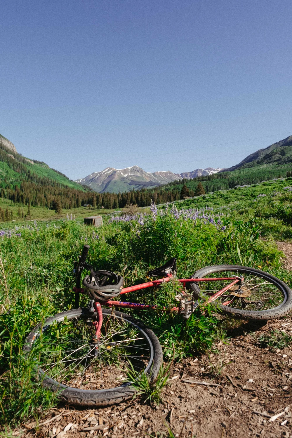 Many researchers bike around the area as many of their field sites can only be accessed by trails.