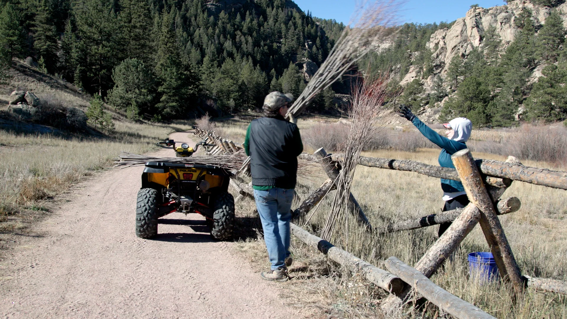 It took 17 volunteers about eight hours to produce more than 1,100 willow cuttings that they then planted near the river bank. Photo: Chelsea Casabona, Rocky Mountain PBS