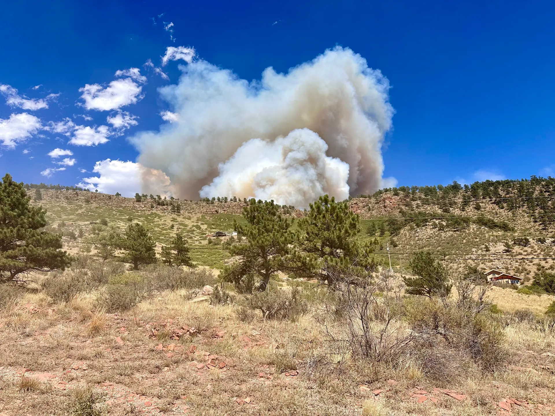 Photos courtesy Emily Bochenek