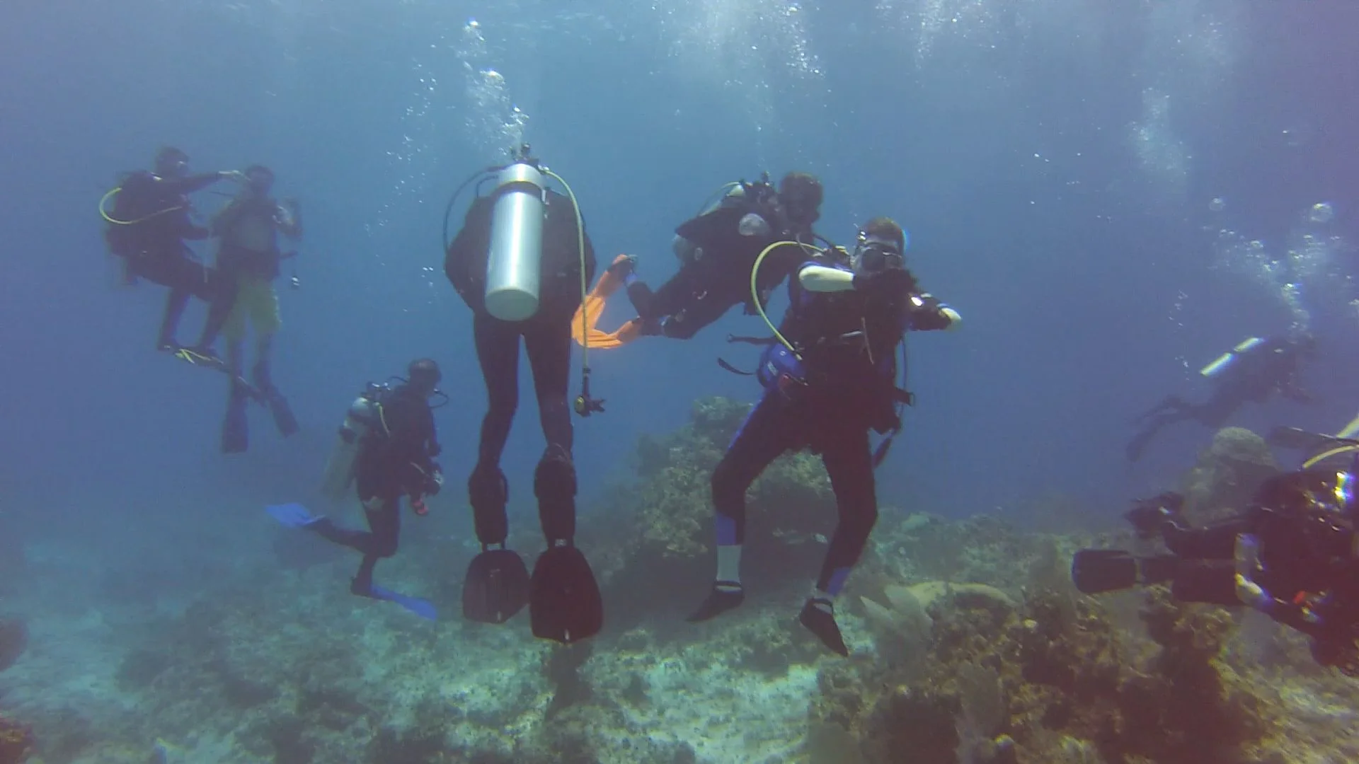 Kitchens (right) was one among almost 30 adaptive divers who traveled to Cayman Brac with Denver Adaptive Divers. Photo: Chase McCleary, Rocky Mountain PBS