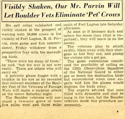 A Rocky Mountain News article detailed Parvin's efforts to rid the Fort Lupton area of crows. Photo courtesy the Colorado Historic Newspapers Collection