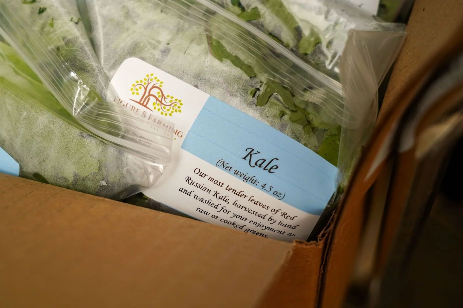 Donovan says the greens that go into Paonia Food Movement orders are picked the day before they’re delivered. Photo: Joshua Vorse, Rocky Mountain PBS