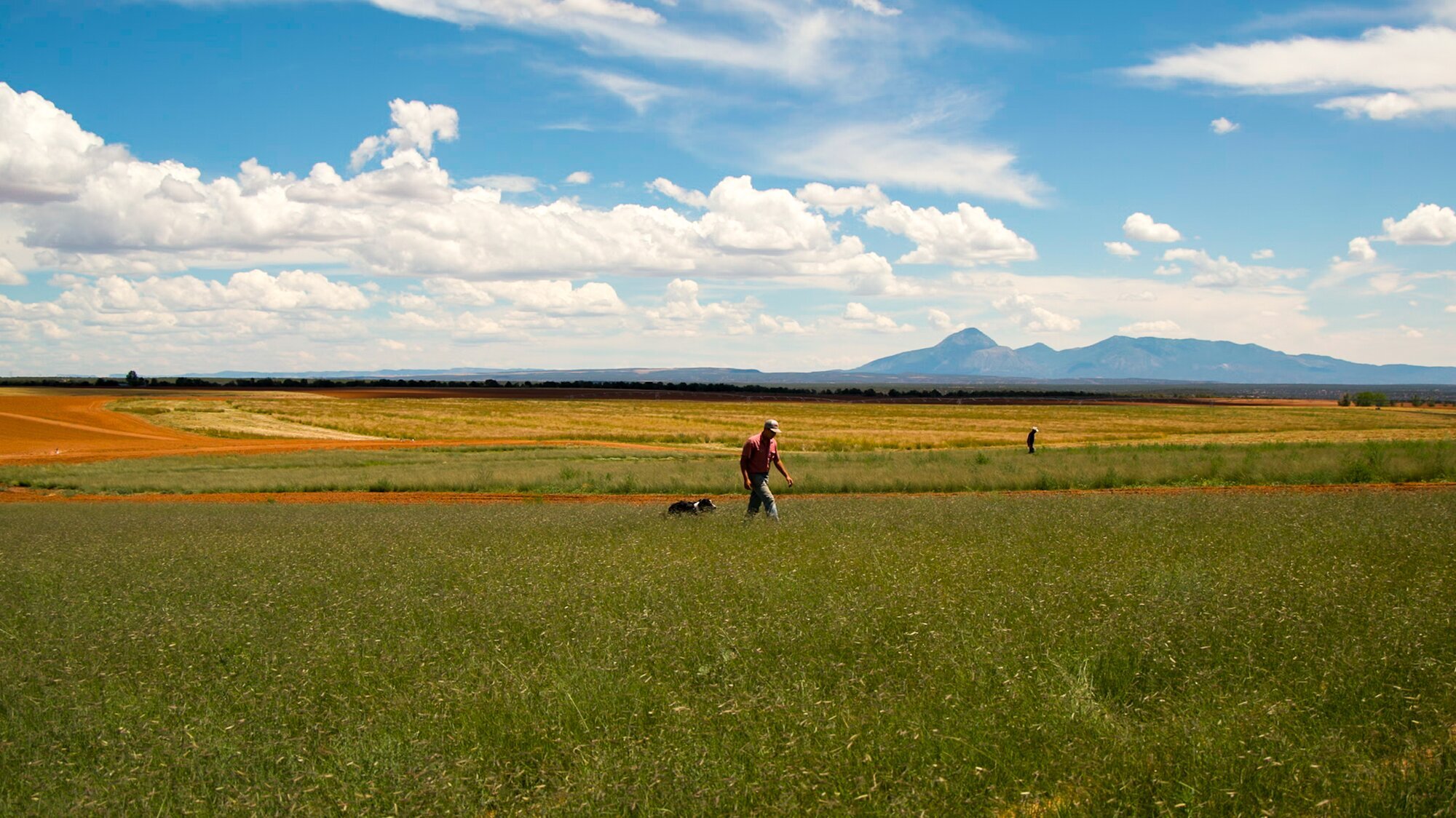 Our favorite stories from 2025