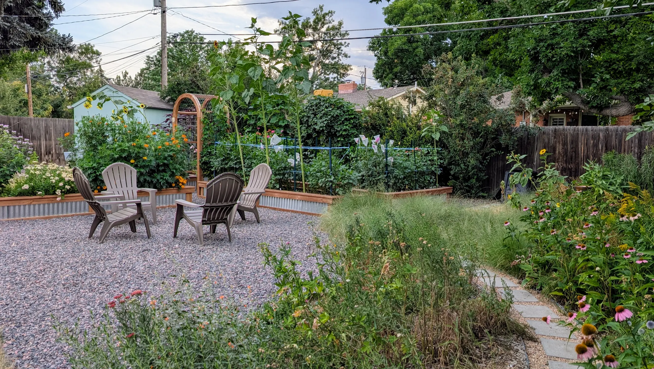 Barrett’s yard now includes a mix of native grasses, pollinator plants and flowers she sells. Photo courtesy Kaeli Barrett