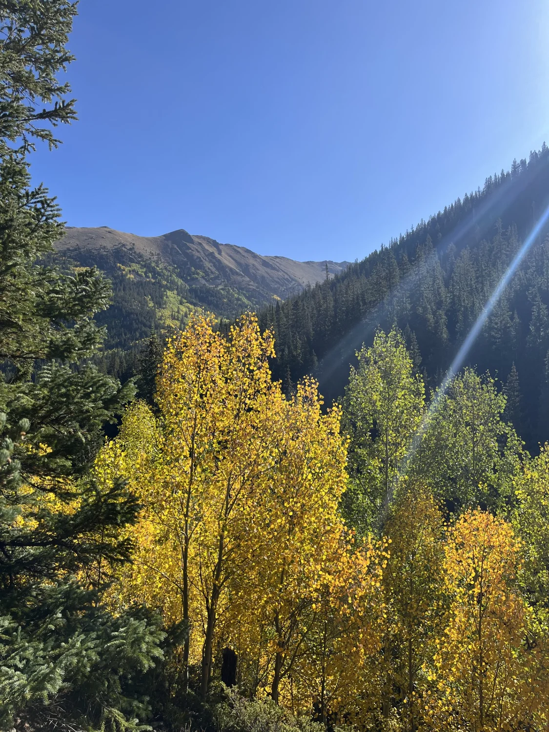 Leaves are just now starting to change along the Grizzly Gulch in Arapahoe National Forest. Photo: John Renfrow, Colorado Community Media