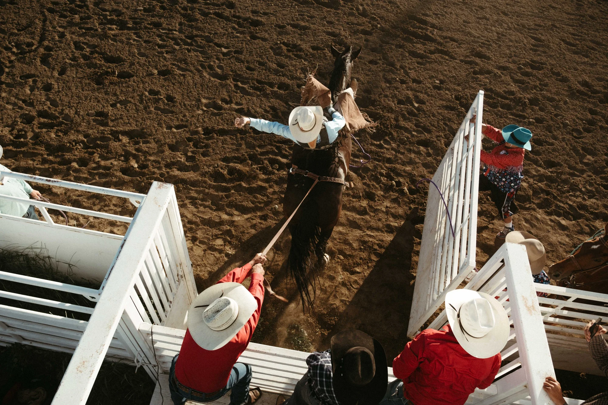 A cowboy rides a bucking horse at the Myers Rodeo. Photo: Peter Vo, Rocky Mountain PBS