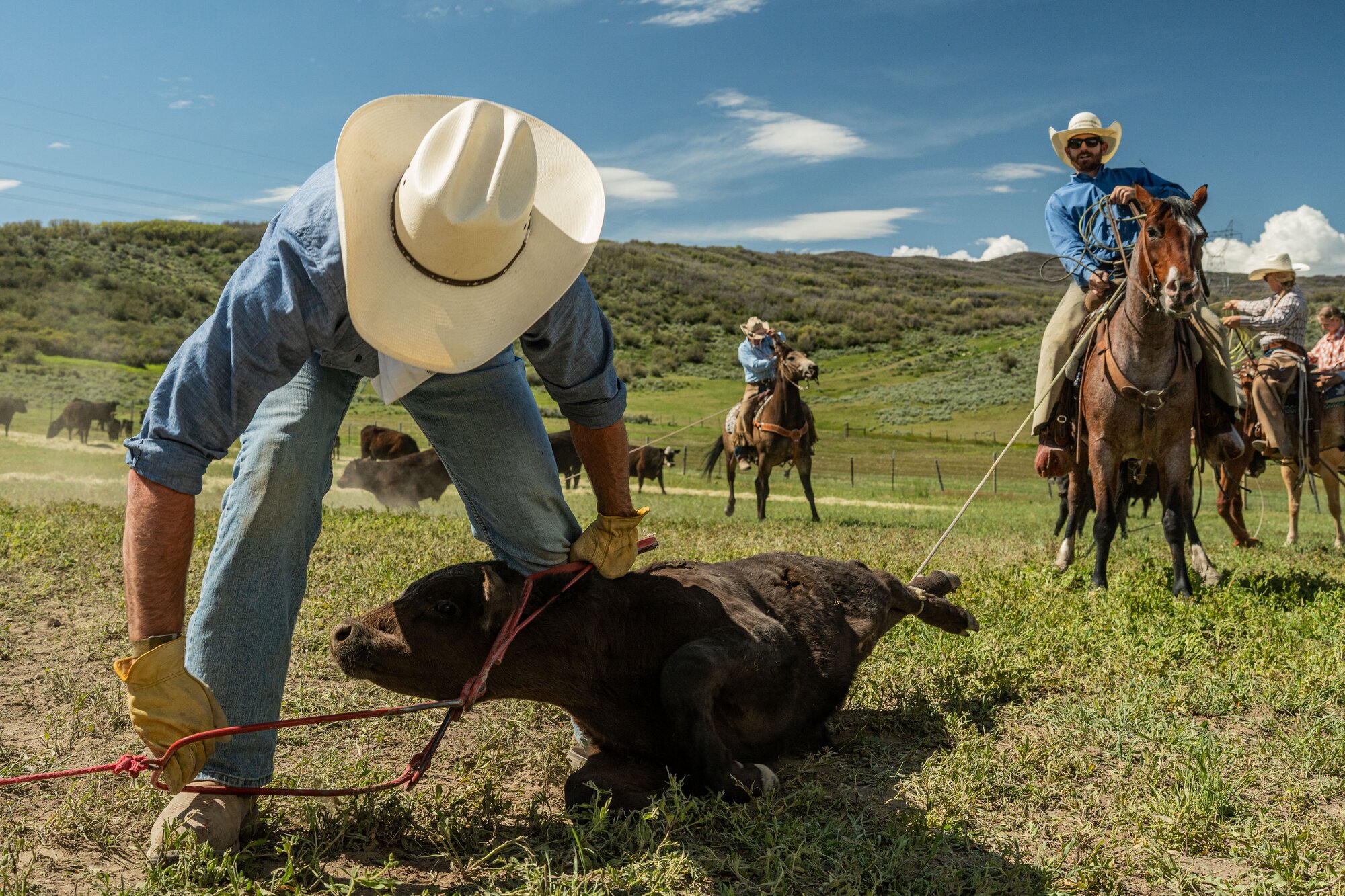 Offseason? For ski joring champions, there's no such thing