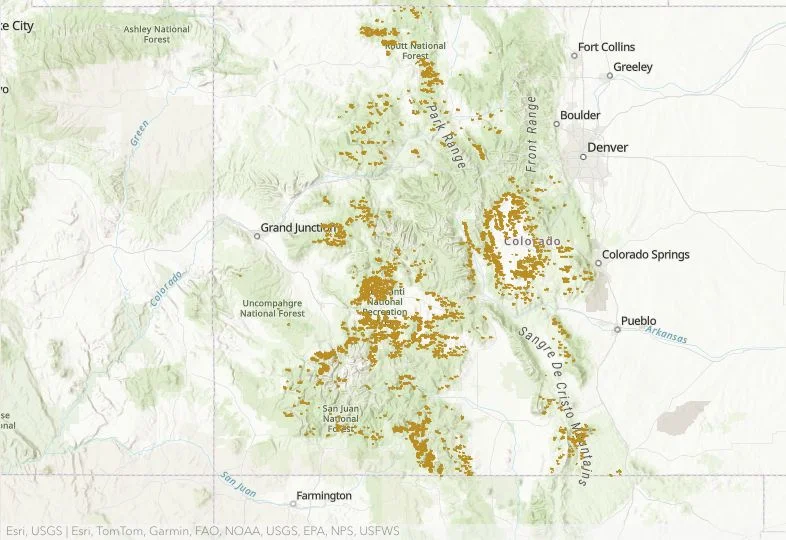 Forest affected by the western spruce budworm, as shown on a map in the forest health report. Credit: Dan West, Colorado State Forest Service