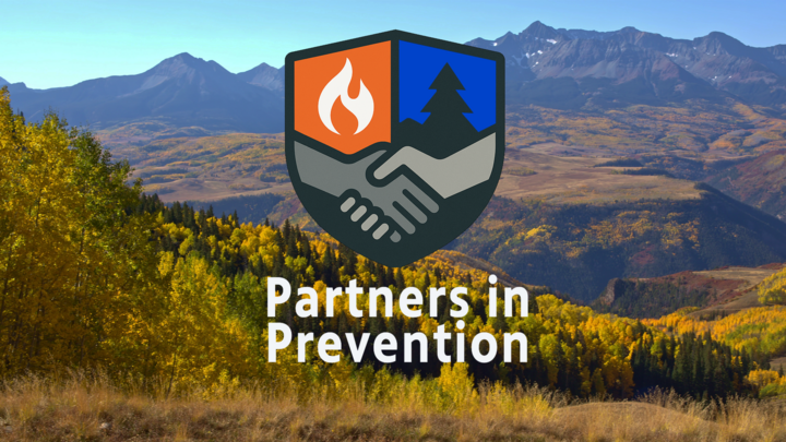 Partners in Prevention