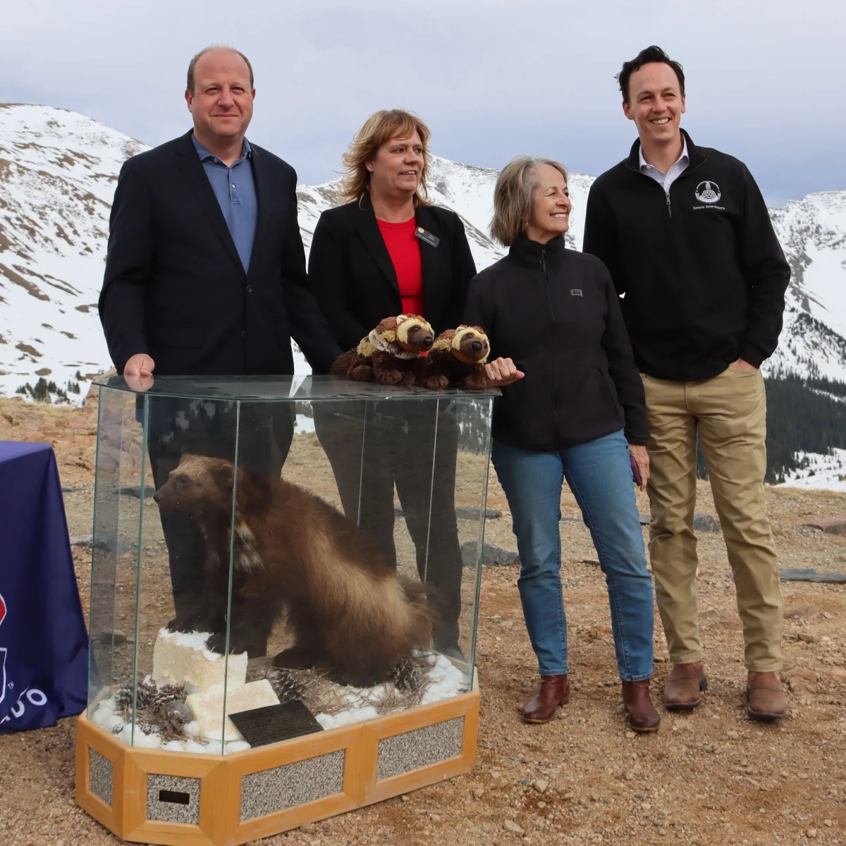 Gov. Jared Polis (left) signs legislation to reintroduce wolverines during a ceremony at Loveland Pass in May of 2024. Photo courtesy Gov. Jared Polis