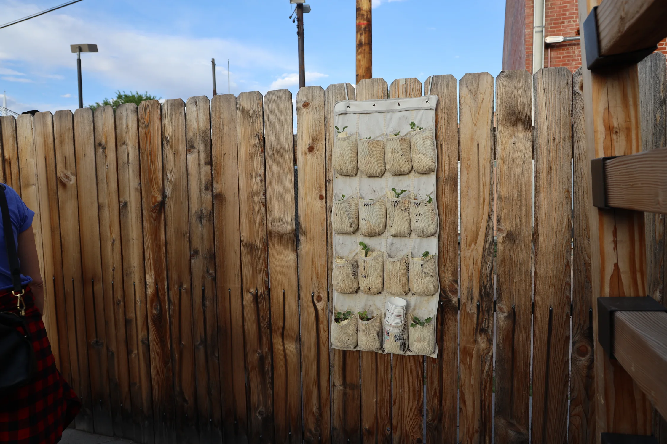 The swap was complete with seeds, herbs, flowers, and more. David Corboy hopes to expand the event into a full-blown marketplace in the future. Photo: Sarah Shoen, Rocky Mountain PBS