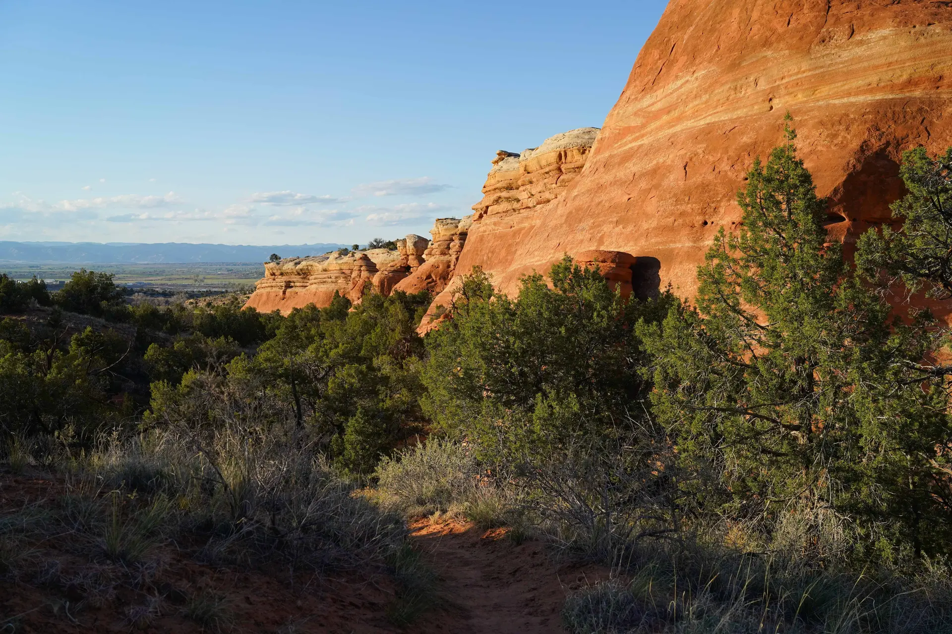 Near the Devil’s Canyon trailhead in Fruita, junipers brush up against the signature tan-orange rocks of western Colorado and eastern Utah. 