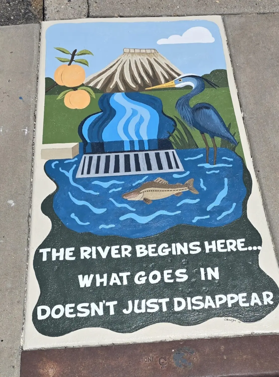 Near the community pool in Palisade, artist Carolyn Stifflear chose a portrait orientation for her storm drain art piece. Photo courtesy Carolyn Stifflear
