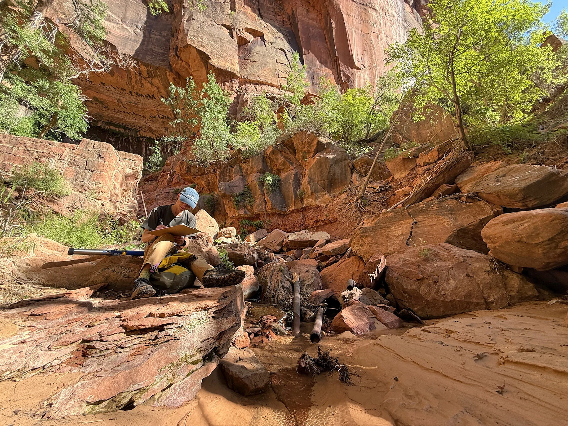 Kristen Cognac takes notes at a former water supply spring in Zion National Park that is no longer in use due to flood damage. Photo courtesy of Katie Willi