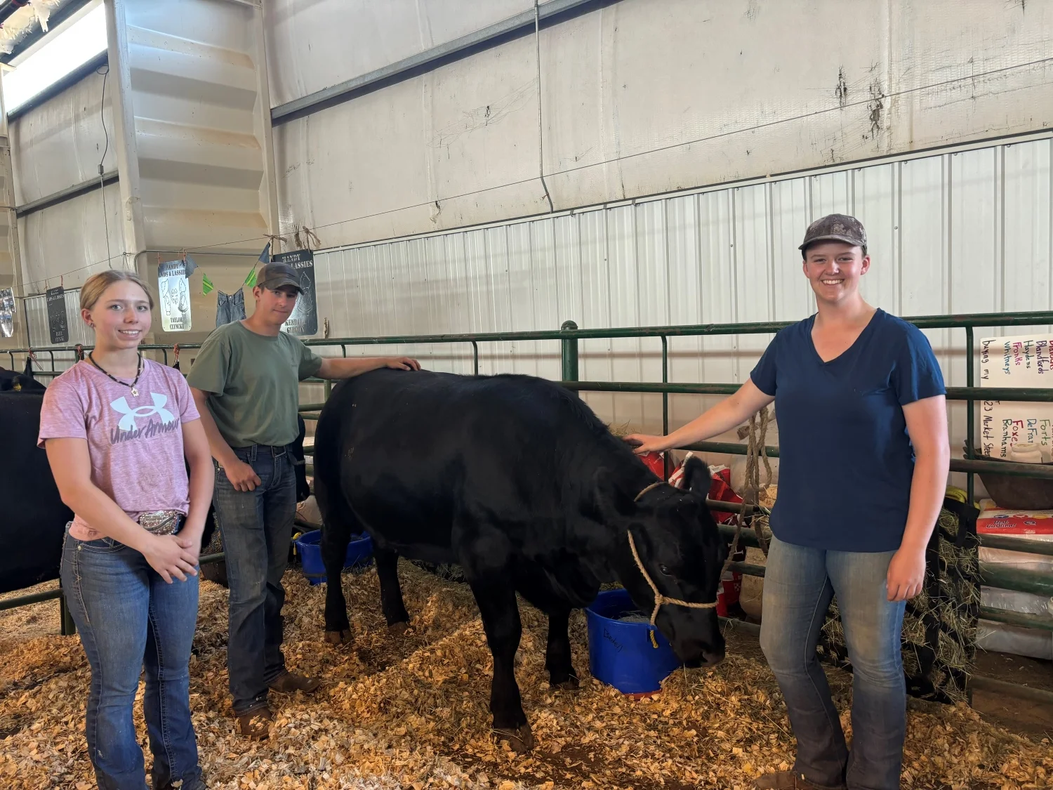 Jessica Bedell, Tim Bedell and Cecelia Gregory stand by a steer at the Routt County Fair. Photo: Alec Berg, Rocky Mountain PBS