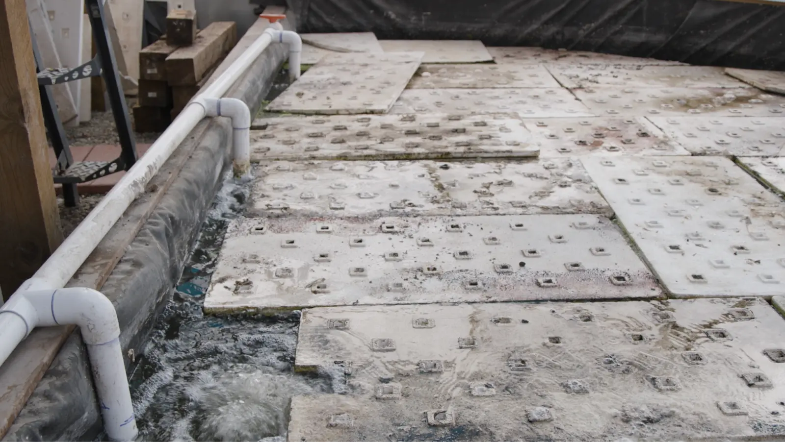Geothermal water channels into the dome. Photo: Ziyi Xu, Rocky Mountain PBS