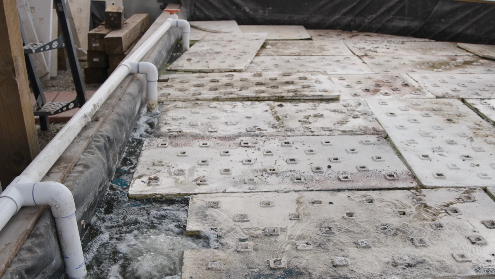 Geothermal water channels into the dome. Photo: Ziyi Xu, Rocky Mountain PBS
