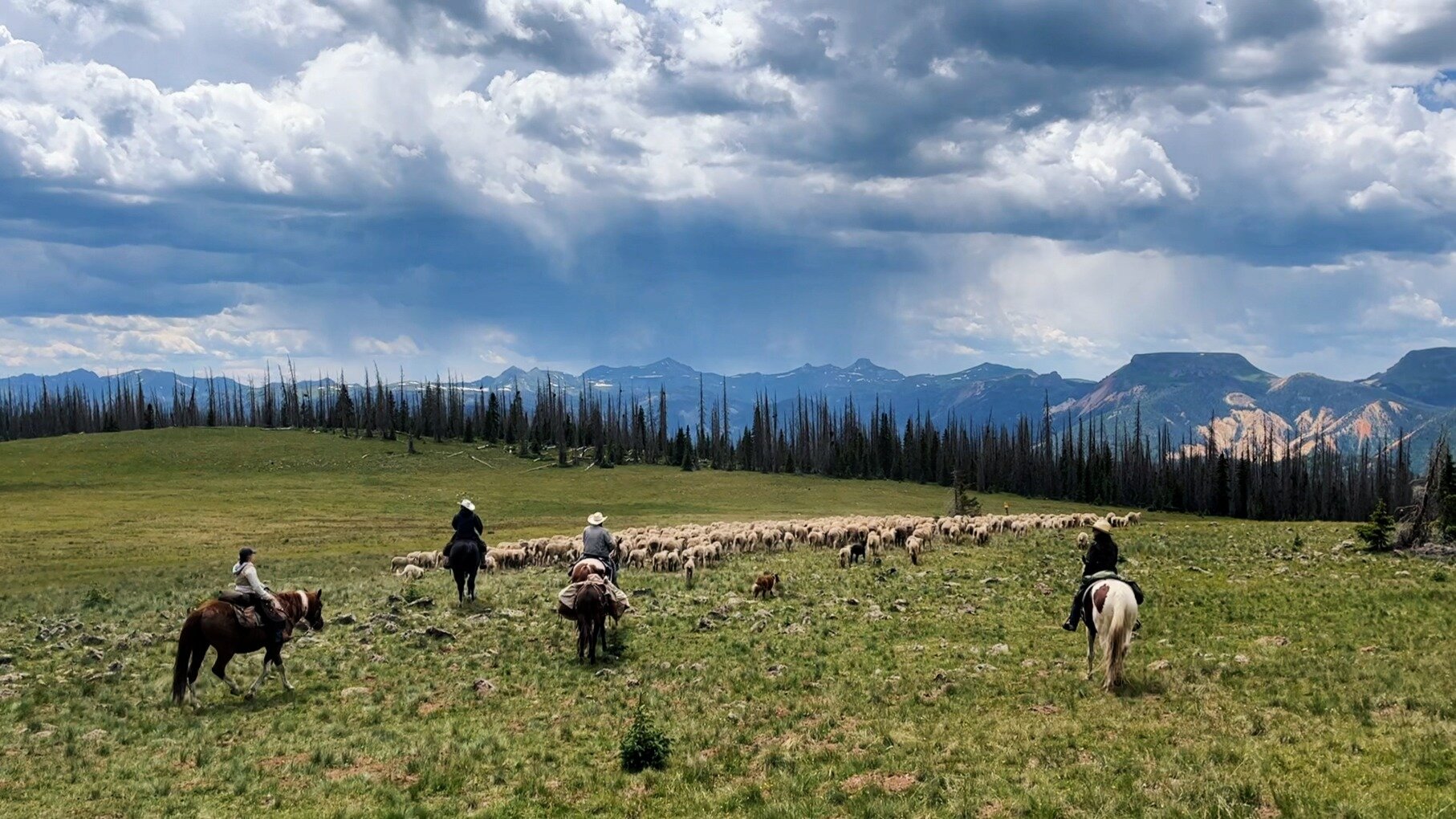 Hoofing it through the San Juans