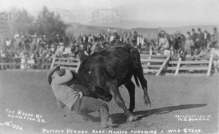 Buffalo Vernon wrestles a steer at the 1910 Round Up in Pendleton, Oregon. Photo courtesy Walter S. Bowman, public domain