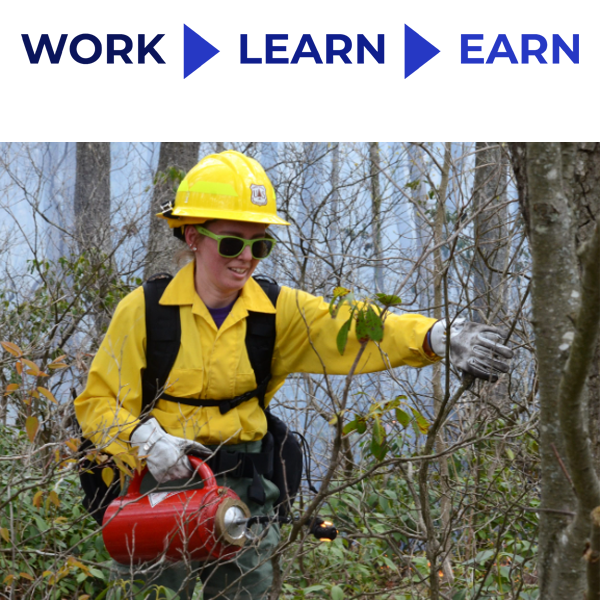 Forestry/ Park Ranger