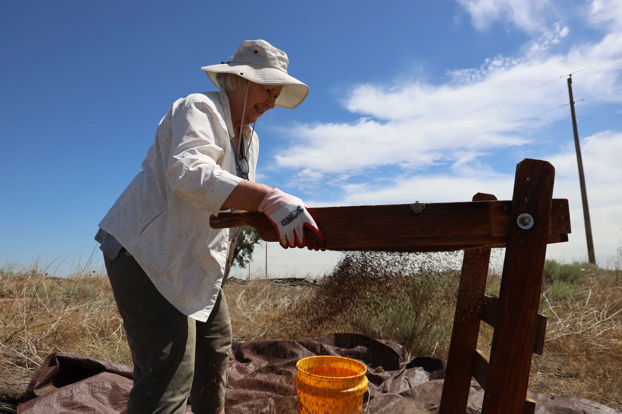 An archeological dig in summer 2024 revealed more artifacts from Dearfield.