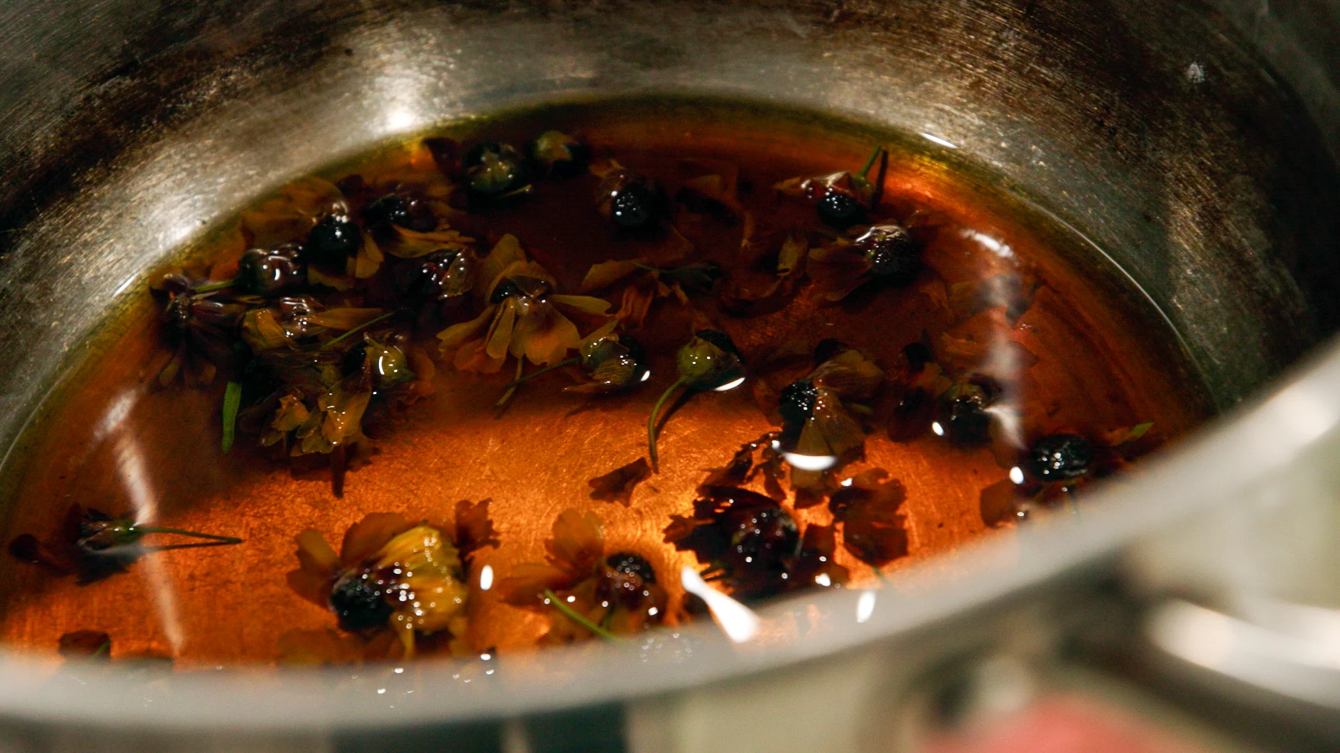 Turning plants into ink involves steeping the plant in water, reducing the liquid and sometimes adjusting its pH. Photo: Cormac McCrimmon, Rocky Mountain PBS