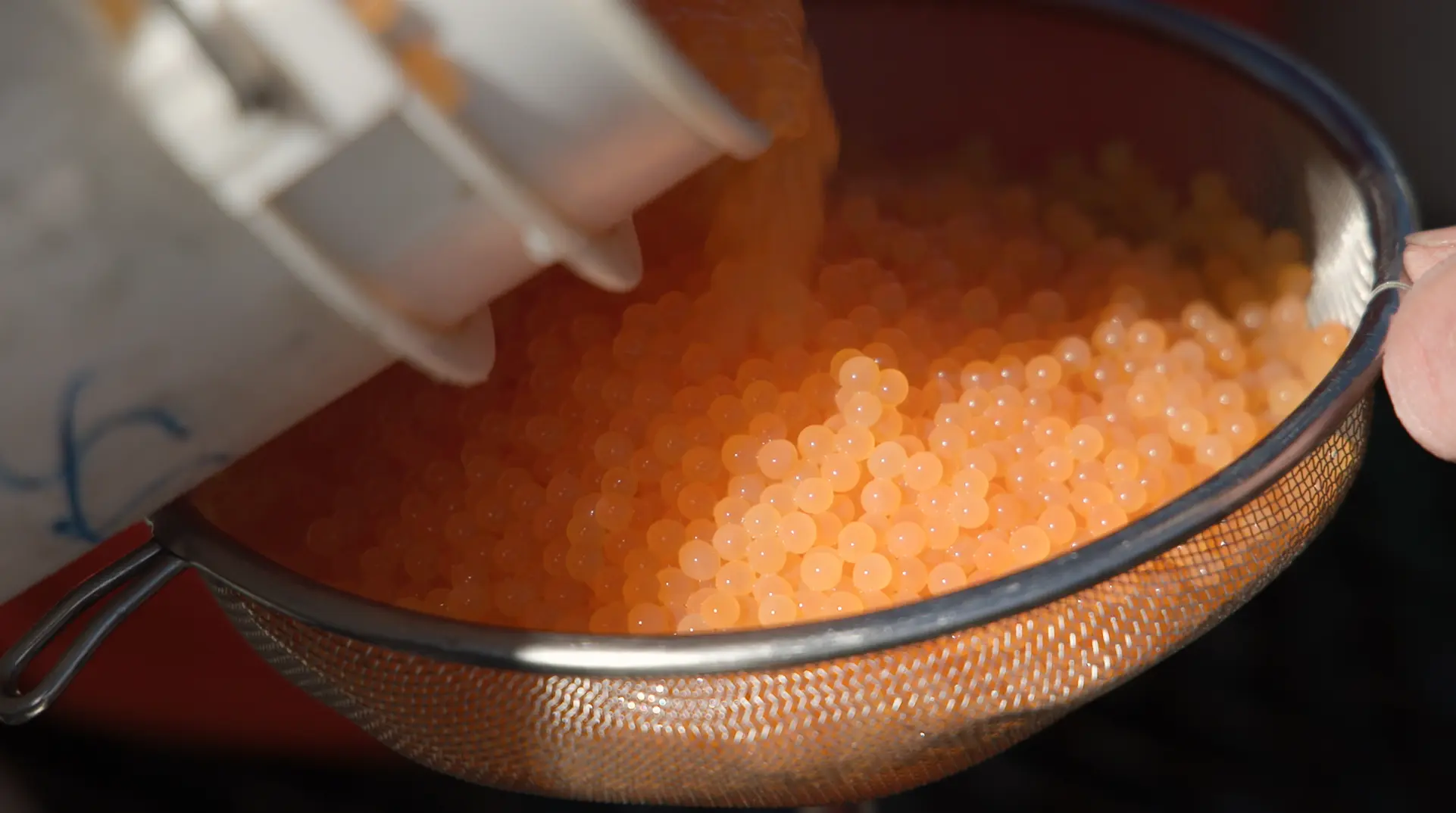 Kokanee eggs. Photo: Ziyi Xu, Rocky Mountain PBS