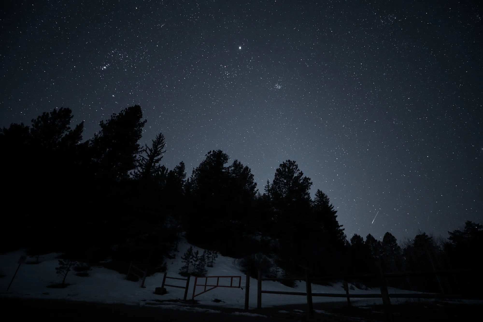 Stars visible from the Nott Creek trailhead at Golden Gate Canyon State Park. Photo, Cormac McCrimmon, Rocky Mountain PBS