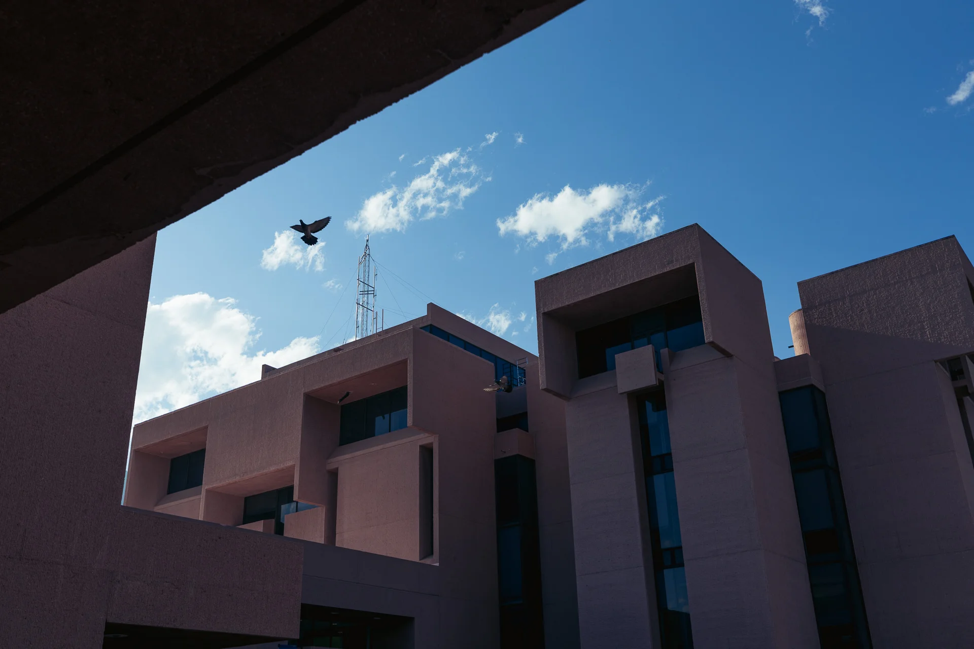 NCAR. Photo: Cormac McCrimmon, Rocky Mountain PBS