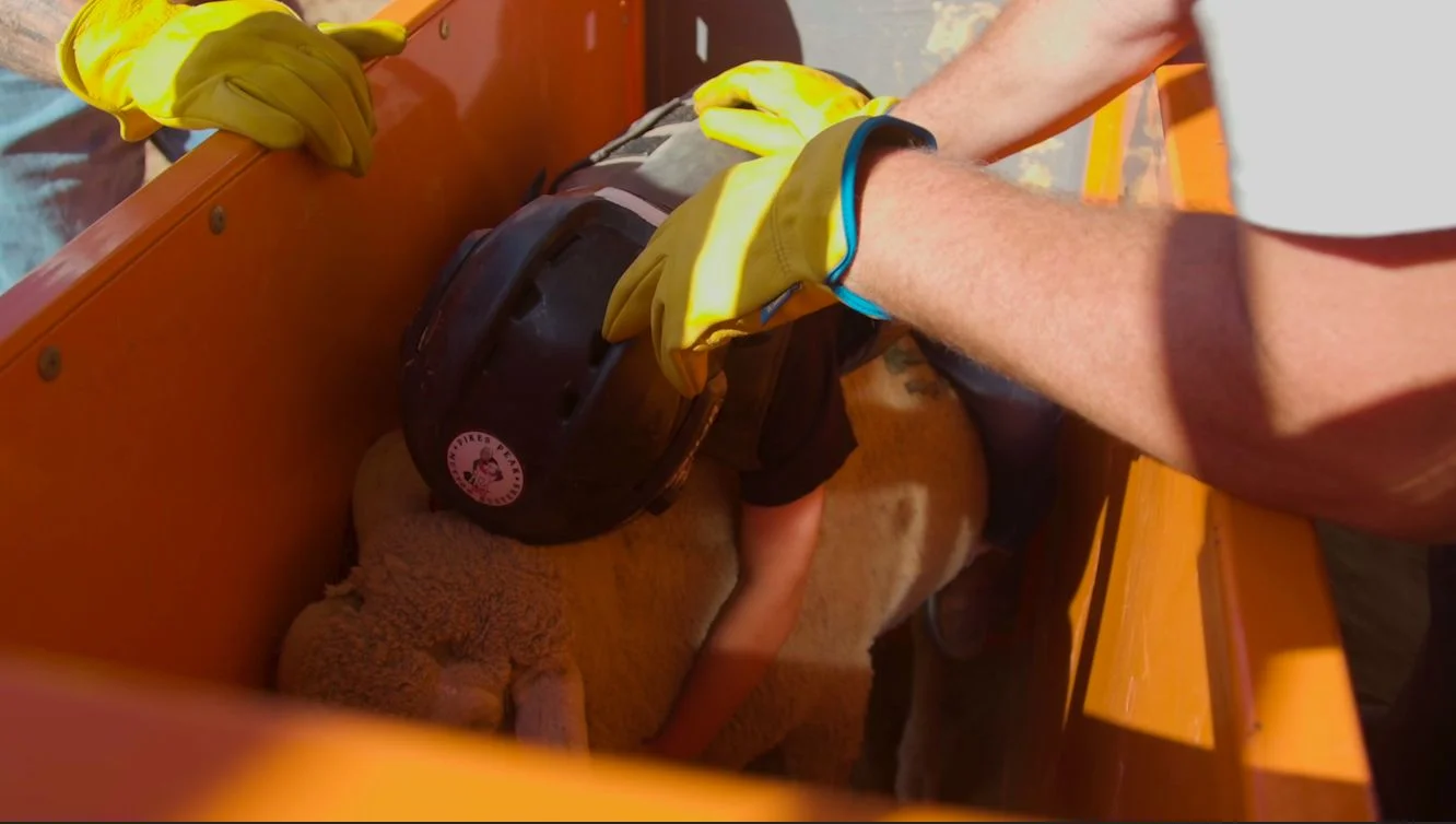 A young rider gets a grip. Photo: Chase McCleary, Rocky Mountain PBS