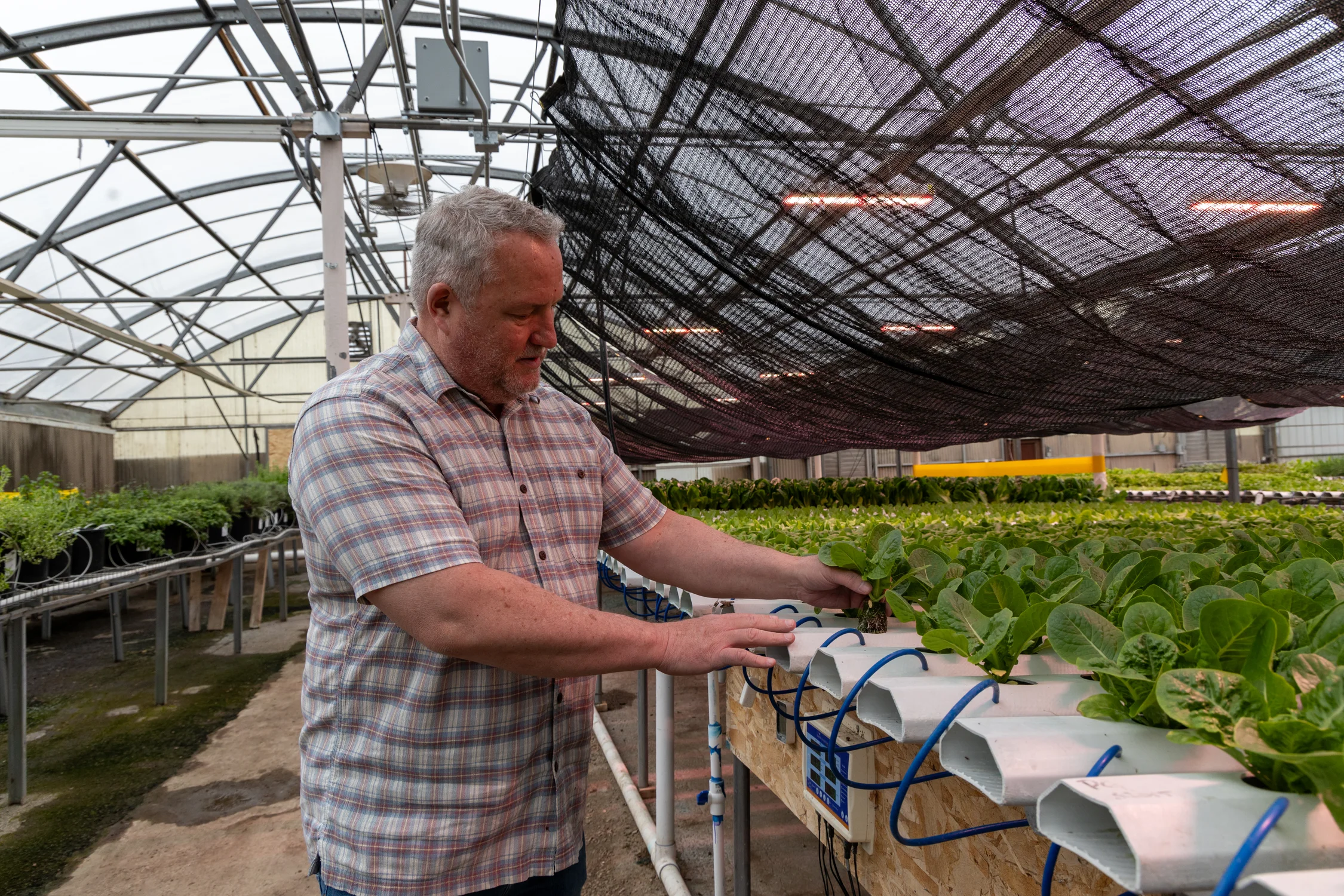James O’Brien, owner of Rebel Farm in Harvey Park, was among the first vendors to commit to the new market. Photo: Carly Rose, Rocky Mountain PBS