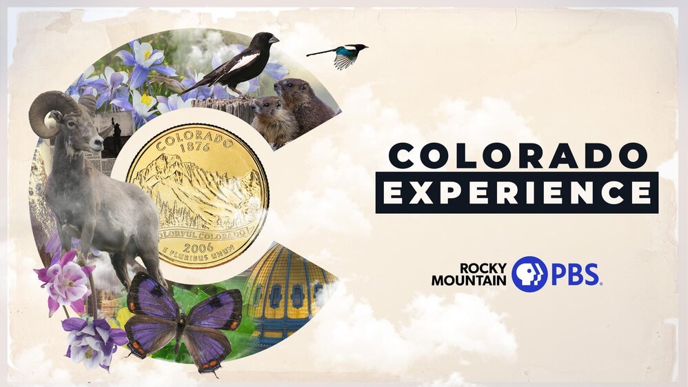 Colorado Experience