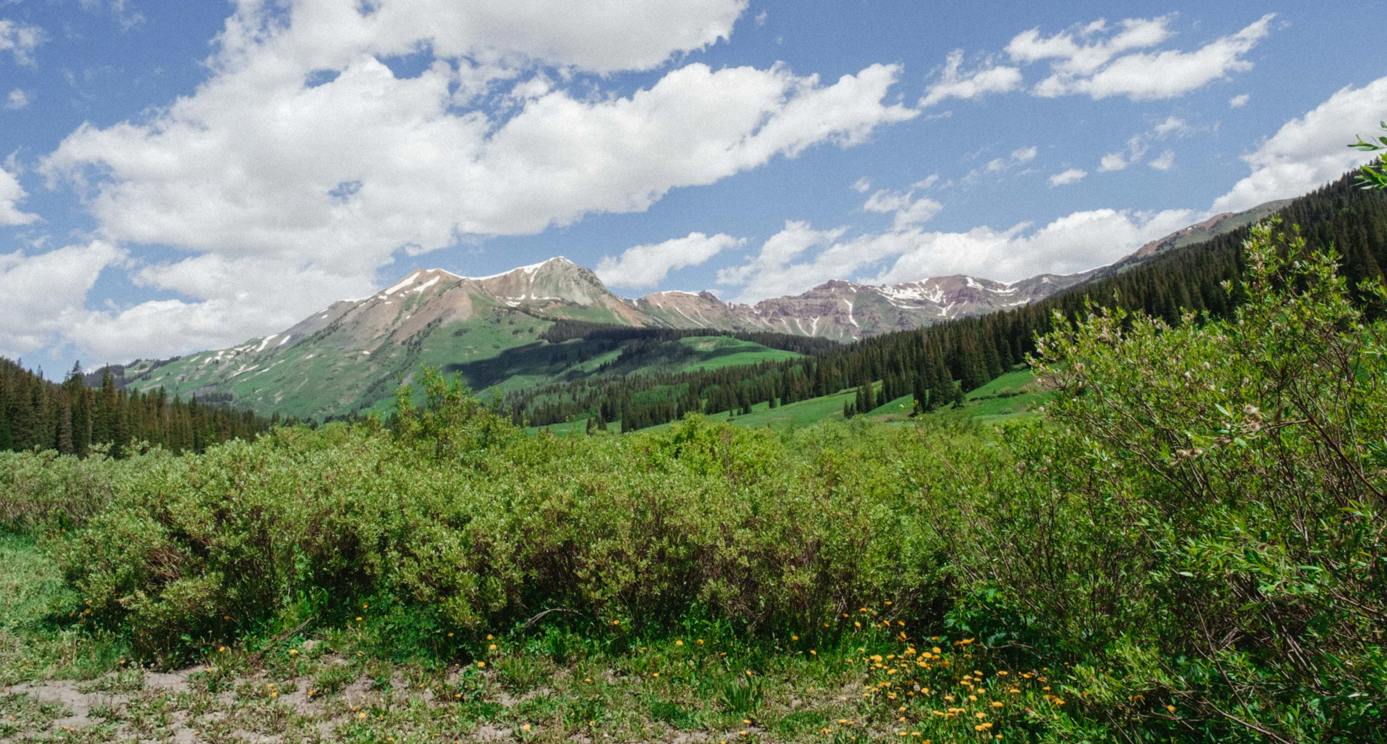 The upper valley of Gothic, Colorado. Photo: Peter Vo, Rocky Mountain PBS