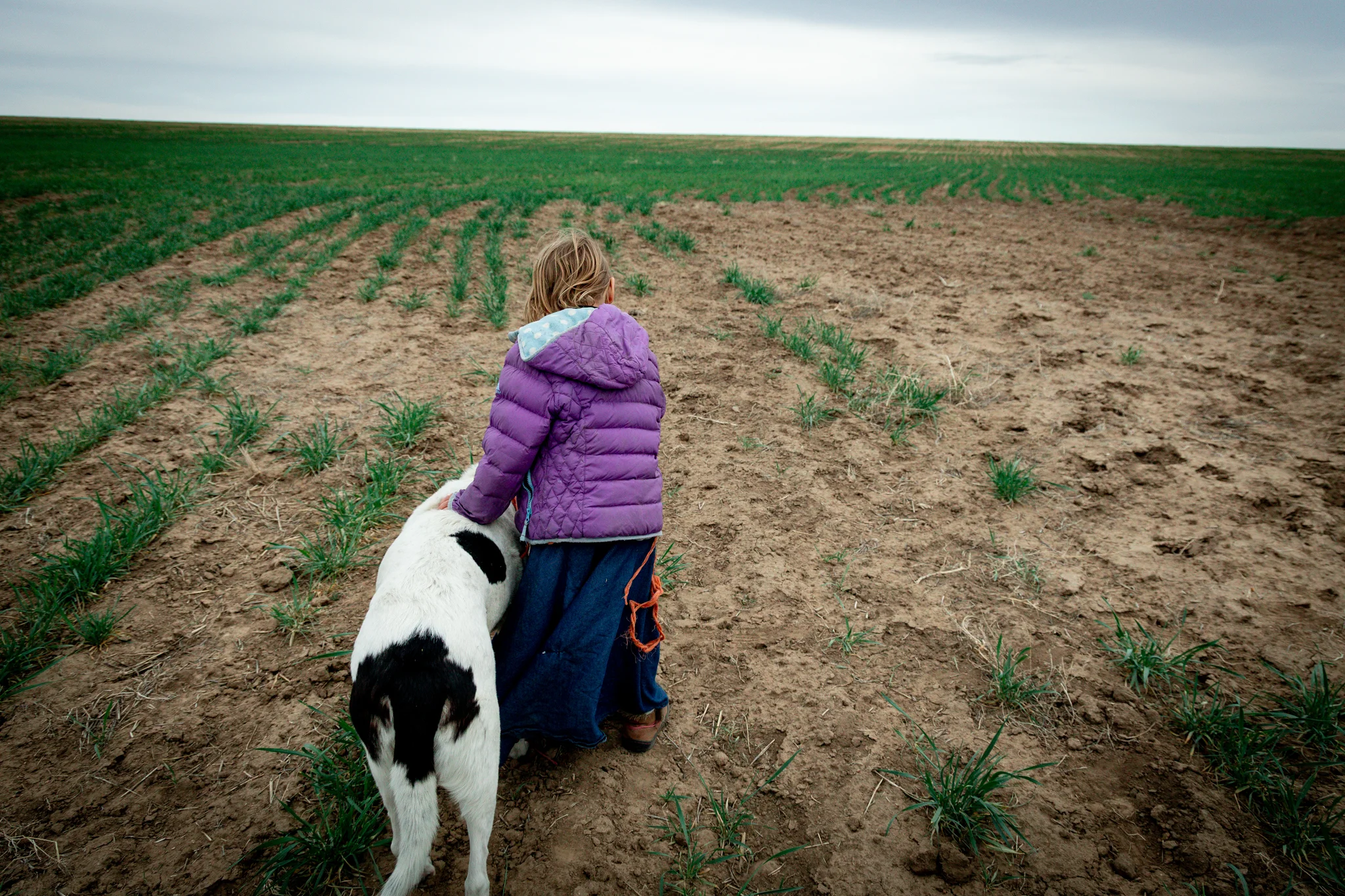 Colorado’s hottest winter on record is threatening this family’s wheat farm