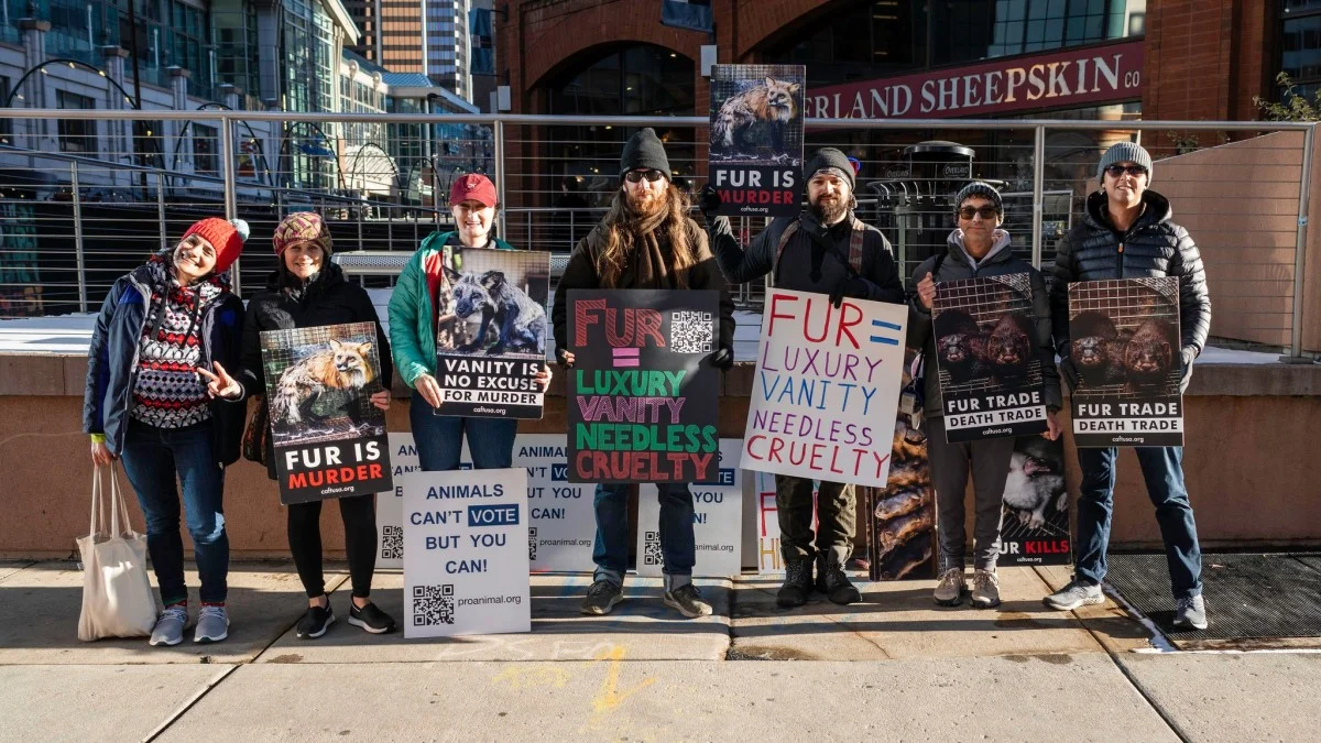 Organizers advocate for Denver's fur ban outside Overland Sheepskin Co., one of the retailers that sells fur in Denver. Photo courtesy Pro-Animal Future