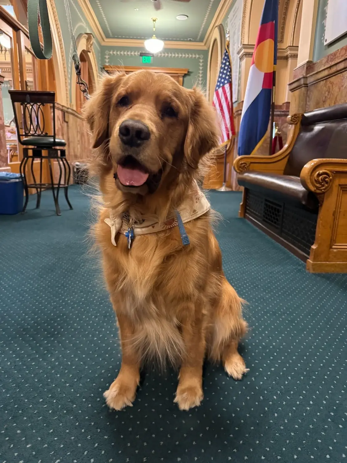 Pippin outside the Colorado House chambers in 2024. Photo: Jesse Paul, The Colorado Sun via the Colorado Capitol News Alliance