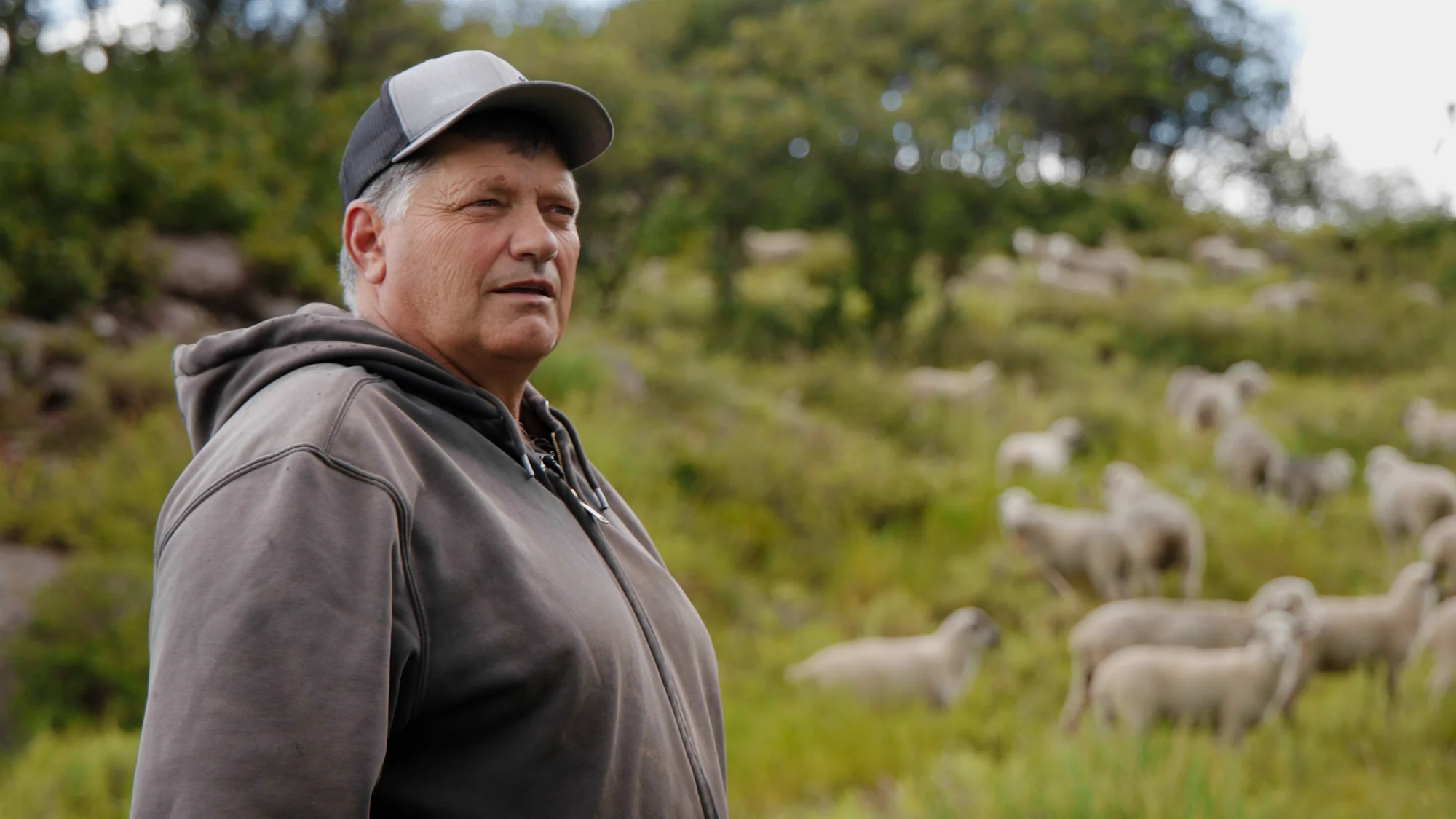 Ernie Etchart earns just 20-30% of his revenue from wool. Photo: Andrea Kramar, Rocky Mountain PBS