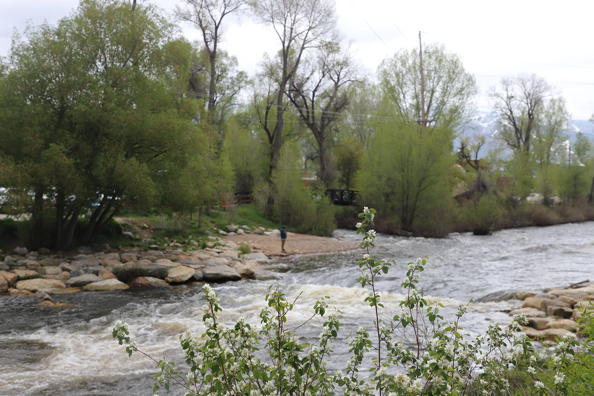 The Yampa River from Howelsen Park. Photo: Alec Berg, Rocky Mountain PBS