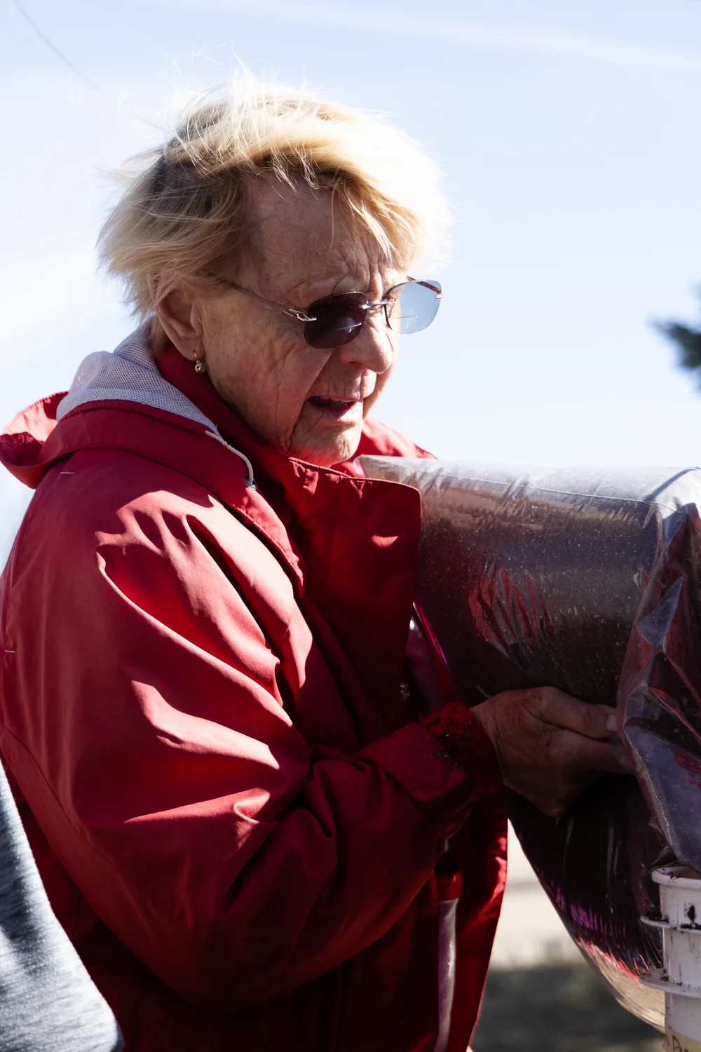 High quality potting soil helps plants to germinate. Photo: Cormac McCrimmon, Rocky Mountain PBS