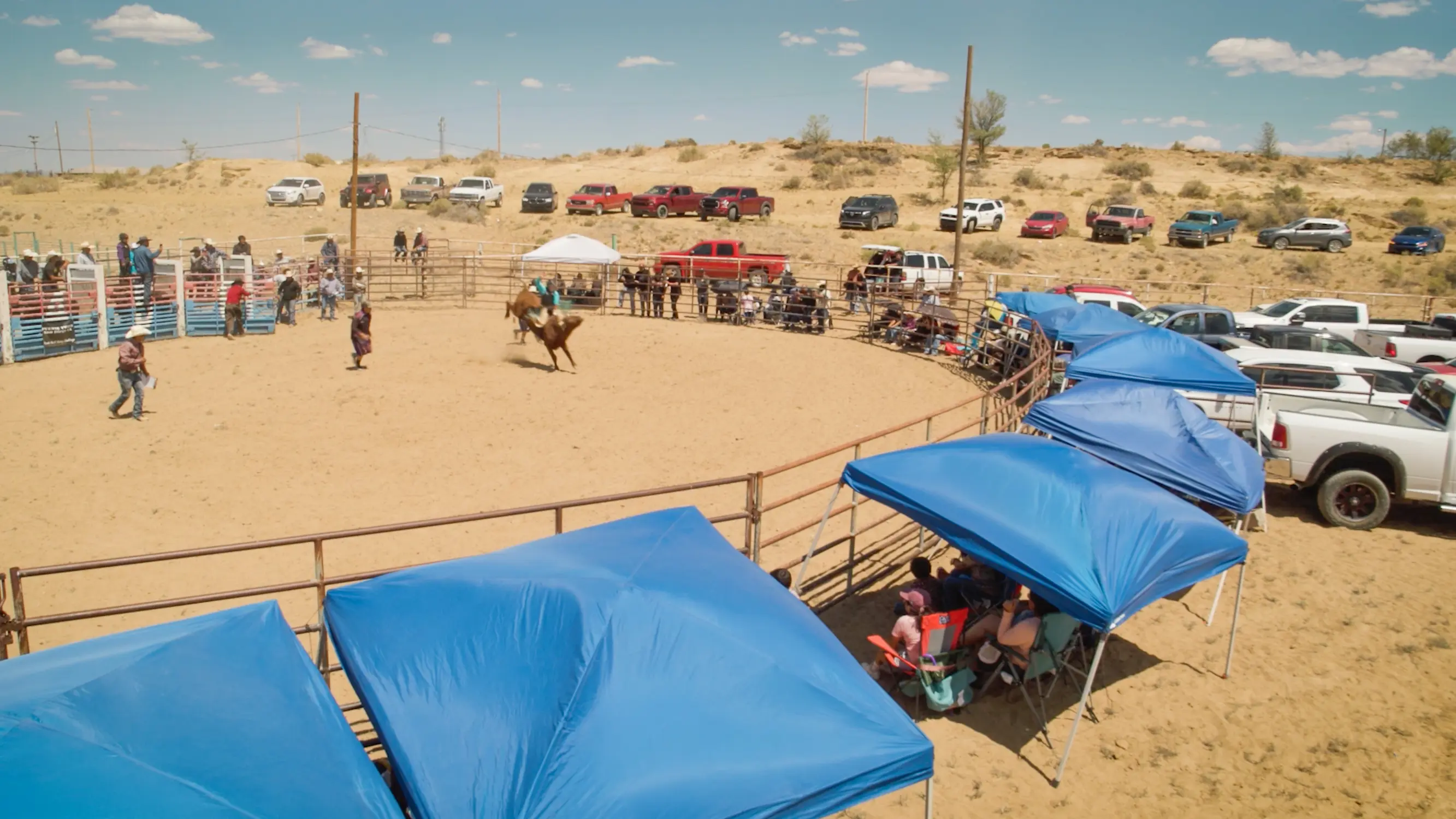 The bull riding event. Photo: Ziyi Xu, Rocky Mountain PBS