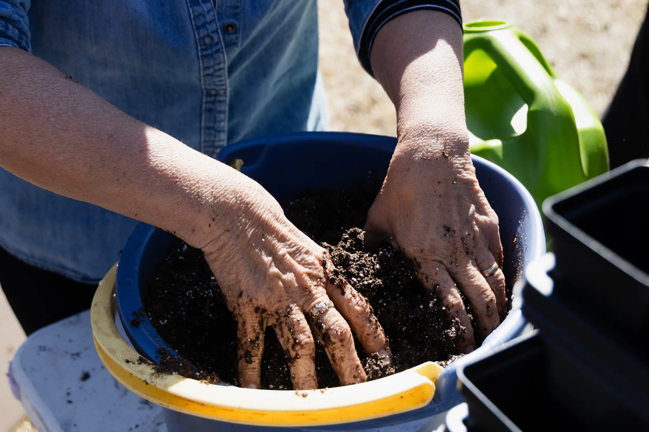 When starting seeds, it’s important to use moist soil that will help to hold the seeds in place while they germinate. Photo: Cormac McCrimmon, Rocky Mountain PBS