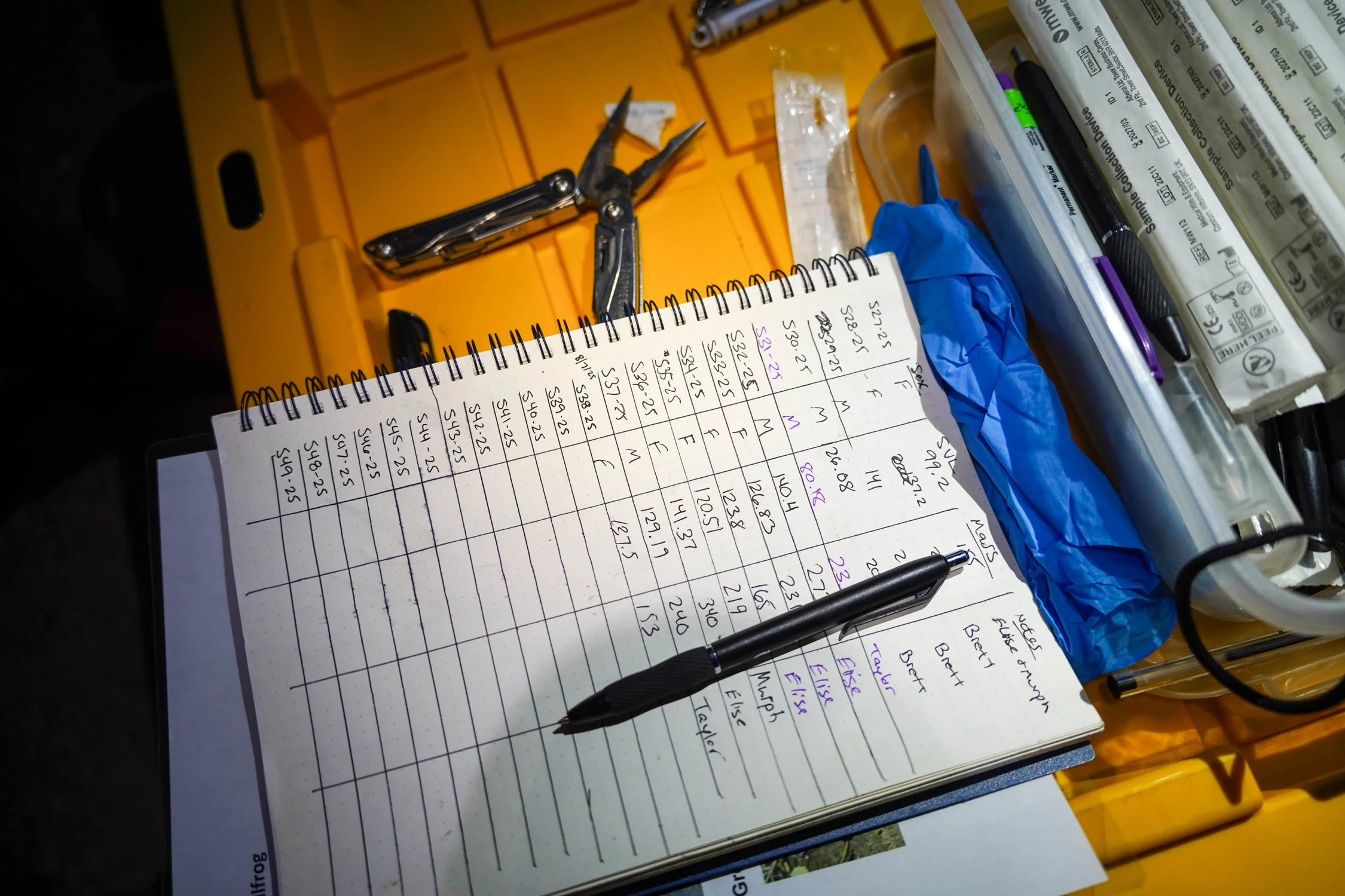 Data for each of the bullfrogs collected. Photo: Joshua Vorse, Rocky Mountain PBS.