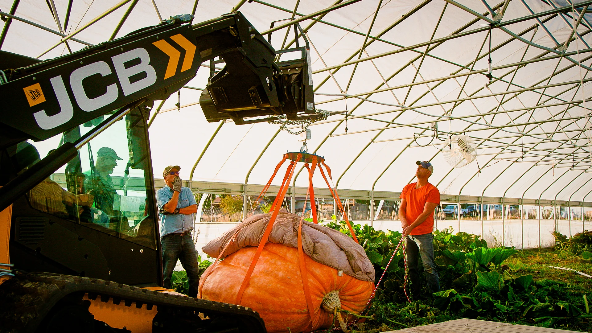 Brad Bledsoe, right, and his father, Rod Bledsoe, left, extract a record setting pumpkin from his greenhouse in October. Photo: Cormac McCrimmon, Rocky Mountain PBS